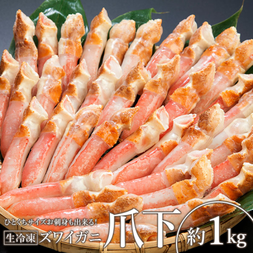 ひとくちサイズ お刺身も出来る！生冷凍ずわい蟹爪下 約1kg【03035a】 186894 - 北海道小清水町