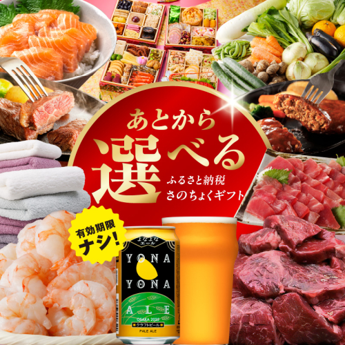あとから選べる！カタログギフト（寄附10,000円コース）約3,000品掲載 大阪府泉佐野市【さのちょくギフト あとからセレクト 肉 牛たん ビール 酒 かに サーモン 野菜 定期便 魚介 海産物 おせち うなぎ 日用品 タオル ティッシュ ゴルフなど】 sn021 187126 - 大阪府泉佐野市
