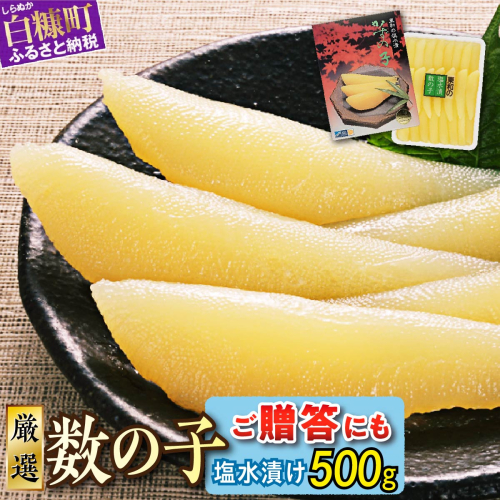 大手百貨店も扱う品質「塩数の子（塩水漬け）【500g】」おせち お正月 数の子 かずのこ 塩数の子 塩かずのこ つまみ 北海道 海鮮 人気 グルメ 食べ物 魚卵 魚 魚介 北海道 白糠町 1874 - 北海道白糠町