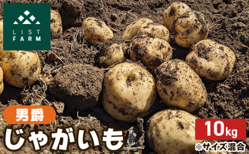 北海道 倶知安 じゃがいも 男爵 10kg リストファーム サイズ 混合 馬鈴薯 芋 ポテト イモ 産地直送 野菜 1880490 - 北海道倶知安町
