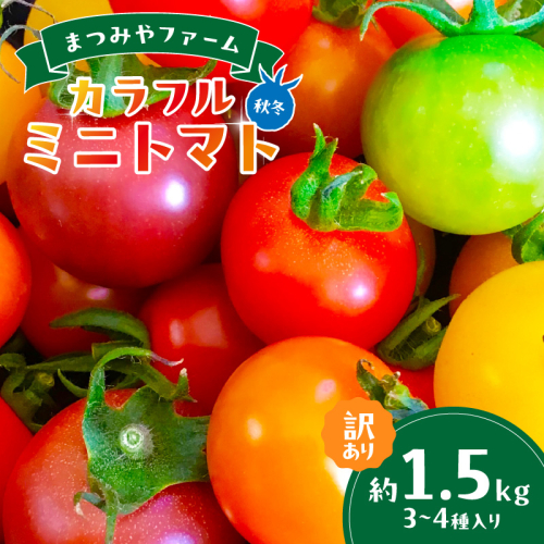 【先行予約】訳あり 宝石のような輝き！カラフルミニトマト 約1.5kg（秋冬）（2025年10月上旬～発送） 1882617 - 京都府京丹後市