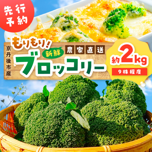 【先行予約】もりもり！ブロッコリー 約2kg（2025年11月中旬～発送） 1882618 - 京都府京丹後市
