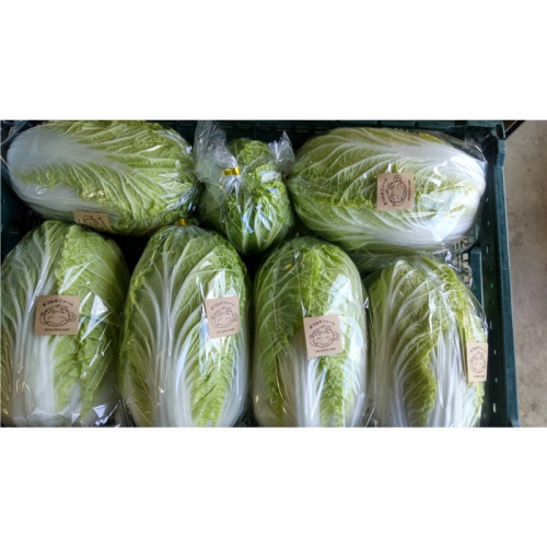 【先行予約】京丹後冬鍋野菜セット（2025年11月中旬～発送） 1882620 - 京都府京丹後市