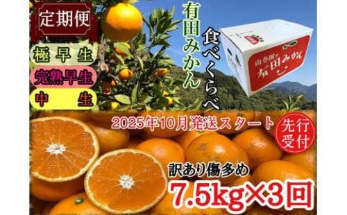 定期便 先行受付 2025年 10月発送スタート 訳あり 傷多め 7.5kg × 3回 コース 有田みかん 食べくらべ 3種 南泰園 1884128 - 和歌山県有田川町