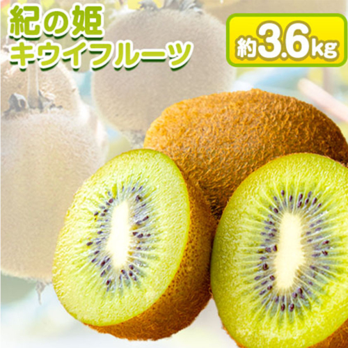 【2026年分先行予約】紀の姫キウイフルーツ約3.6kg(20-27玉入) JAわかやま 紀の里地域本部 《2026年1月上旬-2月末頃出荷》 和歌山県 紀の川市 188900 - 和歌山県紀の川市