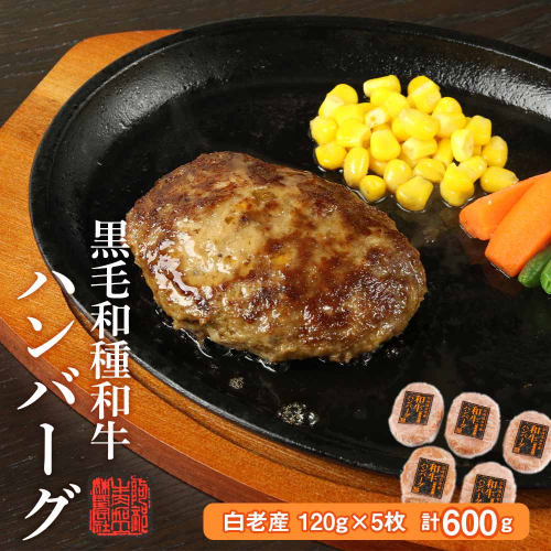 白老産 黒毛和牛ハンバーグ 188967 - 北海道白老町