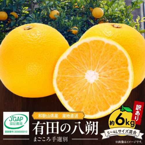 ZE6167n_【2026年先行予約】有田の八朔 (はっさく)【訳あり　家庭用】6kg　(S～4Lサイズ混合)　まごころ手選別 189805 - 和歌山県湯浅町