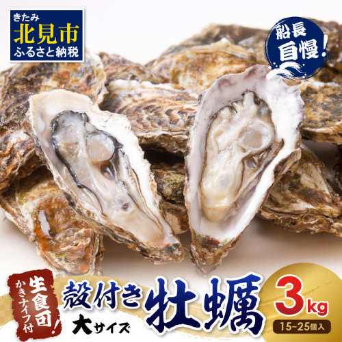 【予約：2025年10月下旬から順次発送】サロマ湖自慢の殻付きカキ貝 大 3kg詰め ( 牡蠣 かき 濃厚 大きい 魚介類 貝類 殻付 殻付き牡蠣 BBQ バーベキュー )【114-0010-2025】 189816 - 北海道北見市