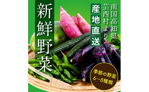 KPP030　朝どれ！ 野菜詰合せ／芸西村で採れた新鮮な野菜6～8種類をお届けします。特産品 ピーマン ナス こだわりの栽培方法 環境に優しい 安全で安心な野菜づくり  支援品 189910 - 高知県芸西村
