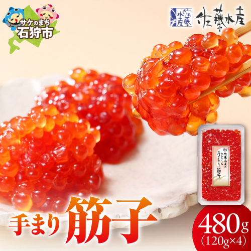 佐藤水産 手まり筋子 480g (120g×4) 190561 - 北海道石狩市