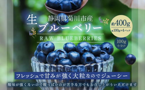生ブルーベリー 計約400g（約100g×4パック）【2025年4月下旬−6月上旬発送予定】｜ ブルーベリー 果物 フルーツ 静岡県 菊川市 1910018 - 静岡県菊川市