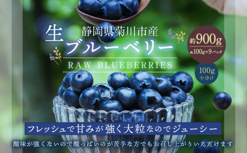 生ブルーベリー 計約900g（約100g×9パック）【2025年4月下旬−6月上旬発送予定】 ｜ブルーベリー 果物 フルーツ 静岡県 菊川市 1910019 - 静岡県菊川市