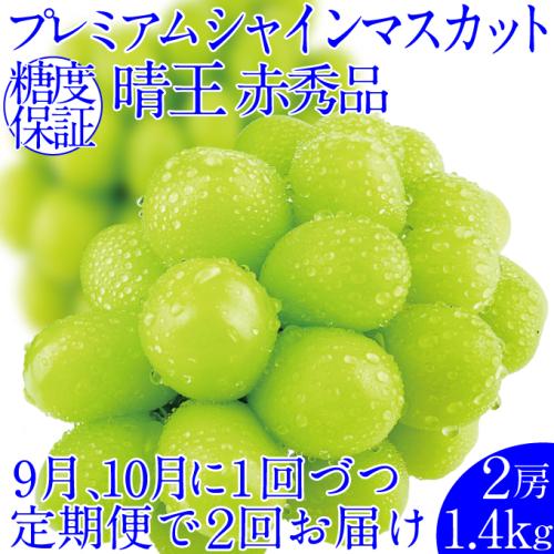 2025年予約受付中【2回定期便】 プレミアムシャインマスカット晴王 2房約1.4kg 人気 岡山県産 赤秀品 種無し 皮ごと食べる みずみずしい 9月・10月にお届け ハレノフルーツ 1910420 - 岡山県瀬戸内市