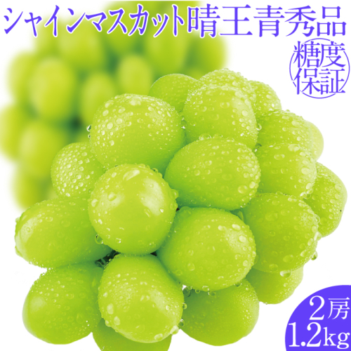 2025年予約受付中 シャインマスカット晴王2房 約1.2kg 7月～8月出荷 人気 岡山県産 種無し 皮ごと食べる みずみずしい フレッシュ 晴れの国 おかやま 果物大国 ハレノフルーツ 1910423 - 岡山県瀬戸内市