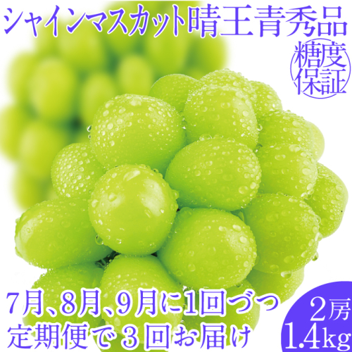 2025年予約受付中【3回定期便】シャインマスカット晴王2房 約1.4kg 7月8月9月に出荷 人気 岡山県産 種無し 皮ごと食べる みずみずしい ハレノフルーツ 1910430 - 岡山県瀬戸内市