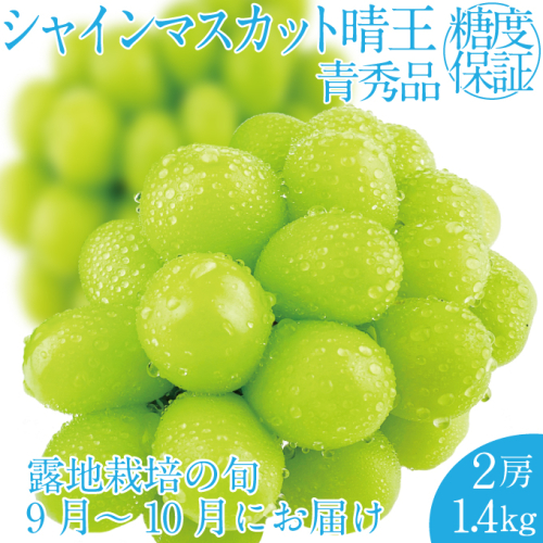 2025年 先行予約受付中 シャインマスカット晴王 2房 約1.4kg 岡山県産 種無し 皮ごと食べる みずみずしい 甘い フレッシュ 瀬戸内 晴れの国 おかやま 果物大国 ハレノフルーツ 1910437 - 岡山県瀬戸内市