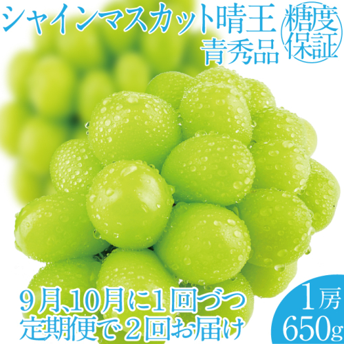 2025年 先行予約受付中【2回定期便】シャインマスカット晴王1房 約650g 岡山県産 種無し 皮ごと食べる みずみずしい 甘い フレッシュ 瀬戸内 晴れの国 おかやま 果物大国 ハレノフルーツ 1910439 - 岡山県瀬戸内市