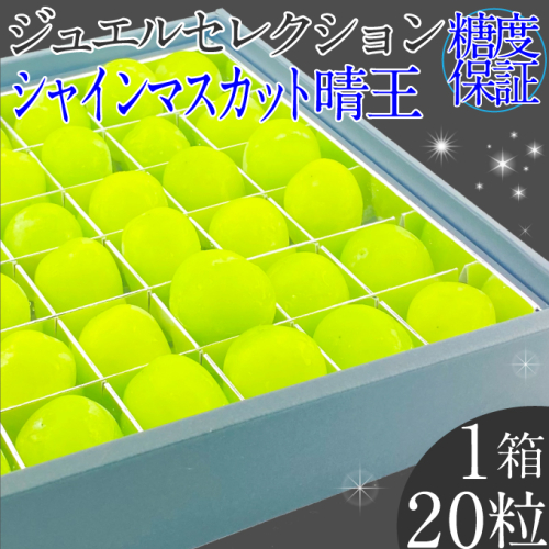 2025年 先行予約受付中 シャインマスカット晴王 ジュエルセレクション 1箱20粒 岡山県産 種無し 皮ごと食べる みずみずしい 甘い  瀬戸内  ハレノフルーツ 1910445 - 岡山県瀬戸内市