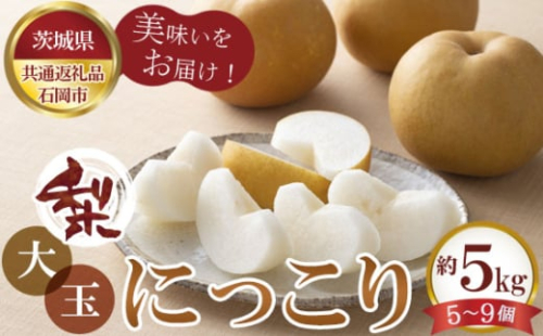 No.799 【先行予約】梨 大玉にっこり 約5kg5~9玉 石岡市産【茨城県共通返礼品 石岡市】 / 旬 新鮮 なし ナシ 果物 フルーツ 茨城県 特産品 1910473 - 茨城県坂東市