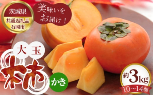 No.801 【先行予約】旬な大玉柿 約3kg10~14個 石岡市産【茨城県共通返礼品 石岡市】 / 旬 新鮮 かき カキ 果物 フルーツ 茨城県 特産品 1910475 - 茨城県坂東市