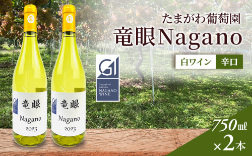 ワイン　竜眼Nagano　【GI長野】認定　2本セット 長野市 白ワイン 1910532 - 長野県長野市