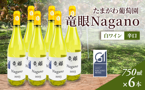 ワイン　竜眼Nagano　【GI長野】認定　6本セット 長野市 白ワイン 1910534 - 長野県長野市