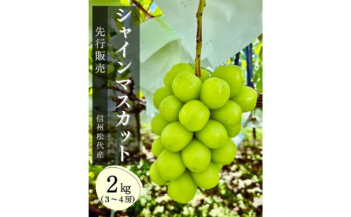 ぶどう シャインマスカット2kg 果物 信州 長野県 長野市  1910537 - 長野県長野市