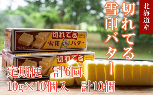 【6か月 定期便】切れてる 雪印 北海道 バター（10g×10個入）×10個 1910715 - 北海道標茶町