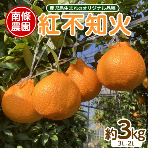 【先行予約】紅 不知火 (3L・2L) 約3kg しらぬい みかん ミカン 蜜柑 柑橘 果物 くだもの フルーツ 【南條農園】nannjyo-1440 1910913 - 鹿児島県長島町