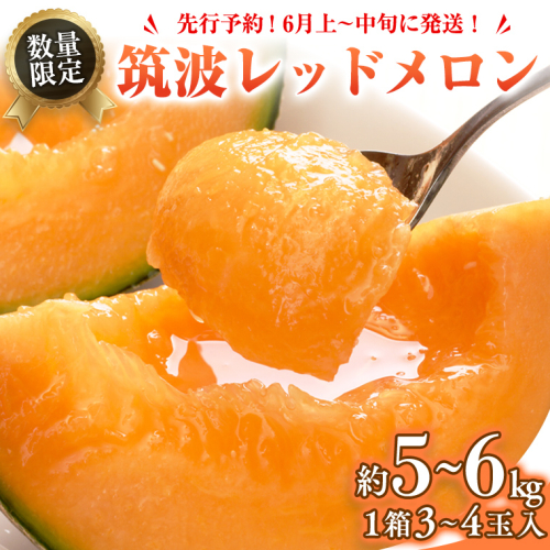 筑波レッドメロン 1箱 3玉 ～ 4玉 入り（ 約 5kg ～ 6kg ）【2026年6月上旬以降発送】 赤肉　数量限定 メロン レッド 赤肉 甘い 期間限定 産地直送 果物 フルーツ [BU002ya] 191572 - 茨城県八千代町