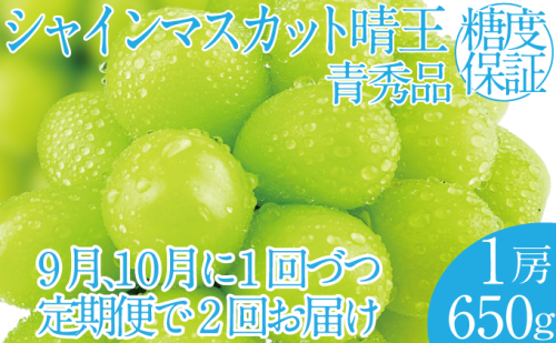 2025年 先行予約受付中【2回定期便】シャインマスカット晴王1房 約650g×2回 岡山県産 種無し 皮ごと食べる みずみずしい 甘い フレッシュ 瀬戸内 晴れの国 おかやま 果物大国 ハレノフルーツ 1916680 - 岡山県玉野市