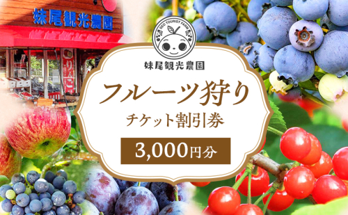 妹尾観光農園 フルーツ狩りチケット3000円 割引 チケット クーポン 利用券 フルーツ 旅行 体験 農園 北海道 仁木町 [フルーツショップ妹尾観光農園] 1919049 - 北海道仁木町