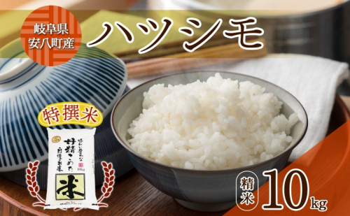R6年産  特選米 ハツシモ 精米 10kg ×1袋 お米 米 白米 ごはん 精白米 はつしも 令和6年産 ブランド米 低農薬 お取り寄せ 産地直送 クリーンファームまき 送料無料 岐阜県 安八町 1919680 - 岐阜県安八町