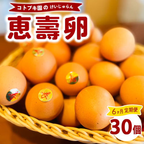 【定期便6ヶ月】当社自慢の卵 恵壽卵 30個入り | 卵 たまご タマゴ けいじゅらん 鶏卵 玉子 国産 定期便 6ヶ月 6カ月 6か月 先行予約 先行受付　※離島への配送不可　※2025年2月上旬～2025年10月下旬頃に順次発送予定 1925352 - 神奈川県相模原市