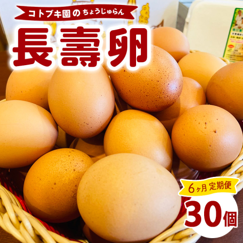 【定期便6ヶ月】当社自慢の卵 長壽卵 30個入り | 卵 たまご タマゴ ちょうじゅらん 鶏卵 玉子 国産 定期便 6ヶ月 6カ月 6か月 先行予約 先行受付　※離島への配送不可　※2025年2月上旬～2025年10月下旬頃に順次発送予定 1925754 - 神奈川県相模原市