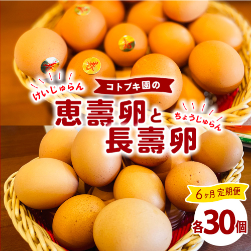 【定期便6ヶ月】当社自慢の卵 長壽卵 30個入り＆恵壽卵 30個入り | 卵 たまご タマゴ ちょうじゅらん けいじゅらん 鶏卵 玉子 国産 定期便 6ヶ月 6か月 6カ月 先行予約 先行受付　※離島への配送不可　※2025年2月上旬～2025年10月下旬頃に順次発送予定 1925763 - 神奈川県相模原市