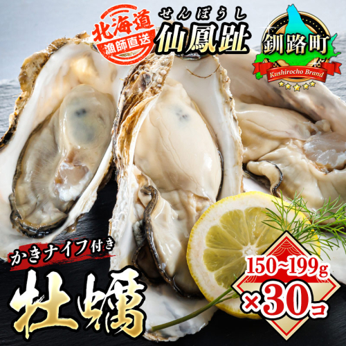 北海道 仙鳳趾名産 牡蠣 150g～199g×30コ＋かきナイフ付き かき漁師直送K4-4＜一部出荷期間：2026年7月1日～11月末＞＜センポウシ : 釧路町の東 厚岸湾の西 カキの名産地＞ | せんぽうし 牡蠣 生食用 殻付き 生牡蠣 絶品 産地直送 北海道 釧路町 釧路超 特産品  193469 - 北海道釧路町