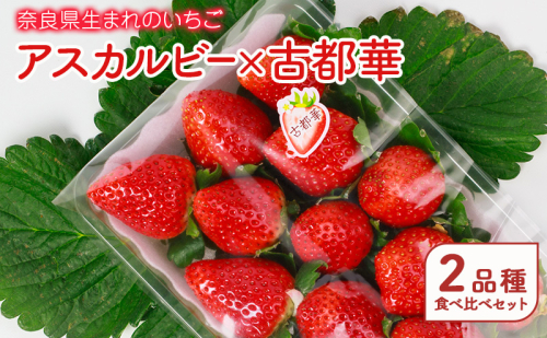 奈良県生まれのいちご アスカルビー×古都華　2品種食べ比べセット 果物 フルーツ いちご 苺 イチゴ ストロベリー アスカルビー 古都華 おやつ 食べ比べ お取り寄せ セット 大和郡山市 1937727 - 奈良県大和郡山市