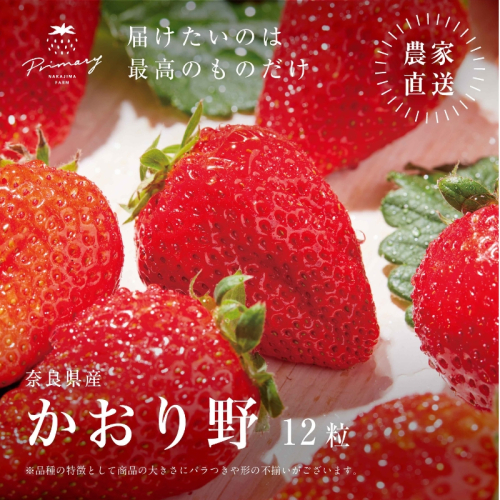 いちご 風味豊かないちご かおり野 1箱(9粒～12粒) 苺 イチゴ くだもの 果物 フルーツ 甘い 大和郡山市 奈良県 1937728 - 奈良県大和郡山市