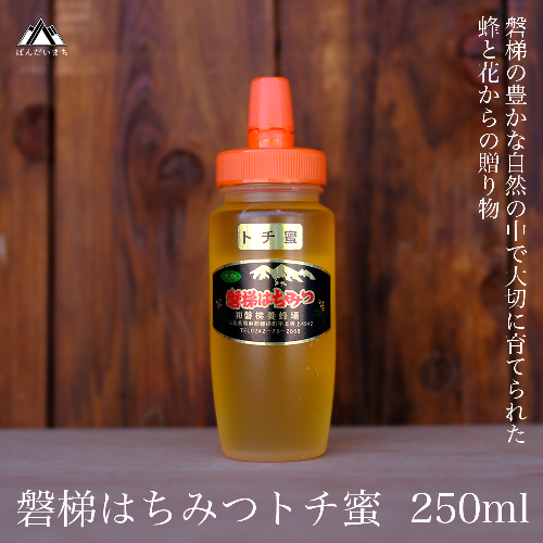 国産純粋はちみつ 天然 磐梯養蜂 磐梯はちみつ 250g［チューブ］ トチ 194064 - 福島県磐梯町