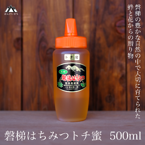 国産純粋はちみつ 天然 磐梯養蜂 磐梯はちみつ 500g［チューブ］ トチ 194065 - 福島県磐梯町