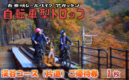 体験 自転車型トロッコ「アガッタン」優待券1枚 体験チケット 観光 194773 - 群馬県東吾妻町
