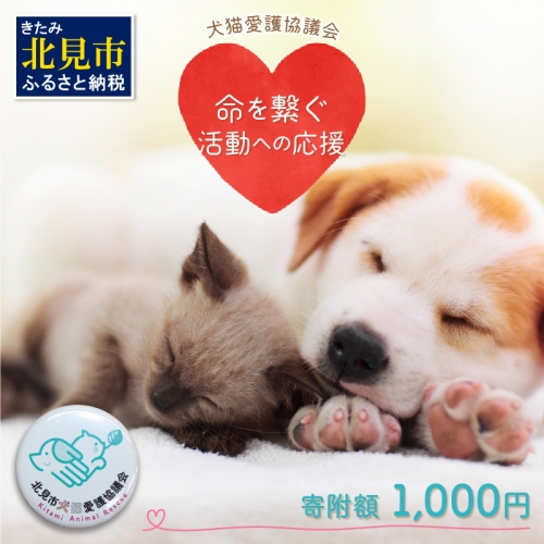 【犬猫等愛護活動、命を繋ぐ活動への応援】北見市犬猫愛護協議会グッズ ( いぬ ねこ 保護 地域猫 雑貨 文房具 セット 動物愛護 愛護 )【144-0001】 194911 - 北海道北見市
