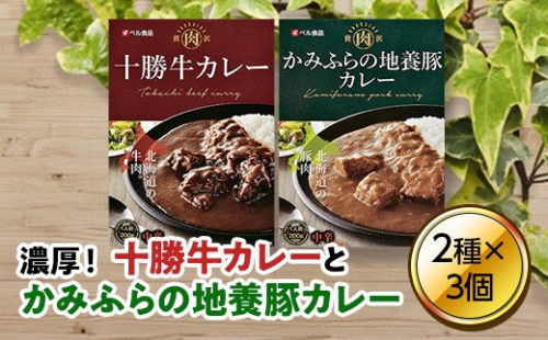 北海道贅沢カレーセット en01-00015 194984 - 北海道遠軽町