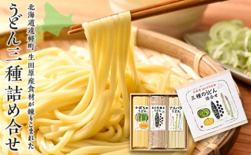 北海道えんがる名物 三種のうどん詰合せ en01-00092 195001 - 北海道遠軽町