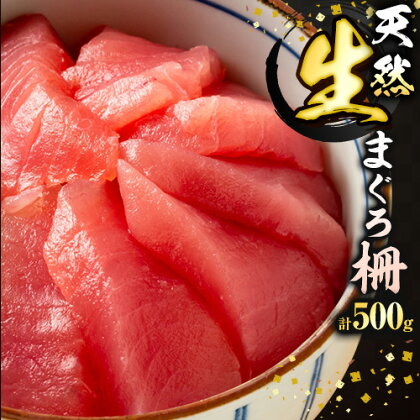 那智勝浦直送 天然生まぐろ 柵 500g 株式会社魚鶴商店《30日以内に出荷予定(土日祝除く)》 和歌山県 日高町 まぐろ 魚 マグロ 柵 海鮮 鮪 魚介 さかな 1955012 - 和歌山県日高町