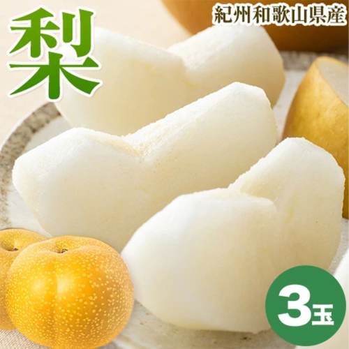 紀州和歌山県産の梨 3玉 化粧箱入 魚鶴商店《8月中旬-9月上旬頃出荷(土日祝除く)》和歌山県 日高町 和歌山県産 梨 なし ナシ 贈り物 ギフト 1955016 - 和歌山県日高町