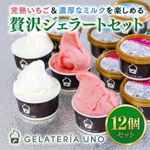 愛媛産贅沢いちご＆夕しぼりミルク使用 本格ジェラート12個セット ｜ 鬼北町 あかまつ農園 レッドパール いちご 夕しぼり らくれん ミルク 牛乳 人気 イタリアン ジェラート ジェラテリアUNO 手作り スイーツ ギフト 1959561 - 愛媛県鬼北町