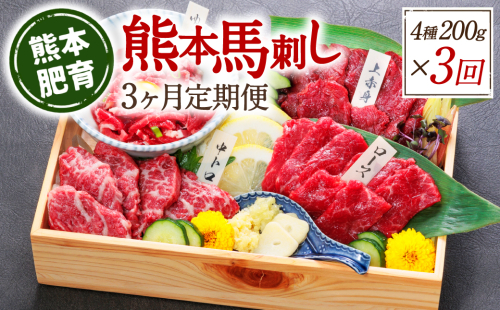 【定期便3回】熊本馬刺し 馬刺し4種 200g×3ヵ月 馬肉 熊本名物 馬刺し 馬 肉 生食 上赤身 中トロ ロース ユッケ 食べ比べ 1959784 - 熊本県八代市