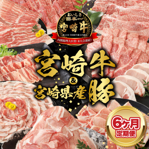 【6ヶ月定期便】宮崎牛・宮崎県産豚 N0147-YF085 1960216 - 宮崎県延岡市